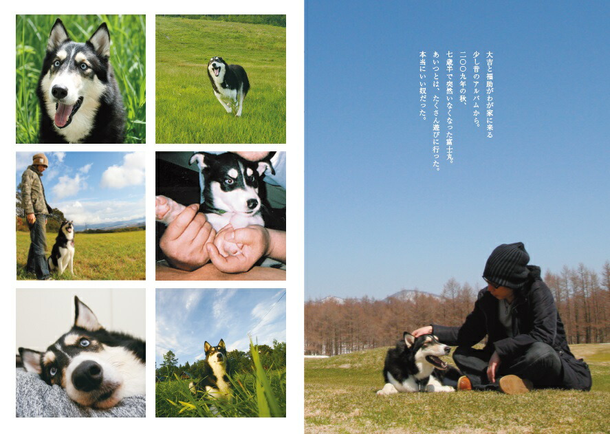 【特典付】犬の笑顔が見たいから[穴澤賢]