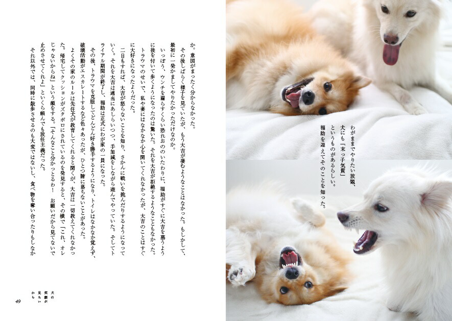 【特典付】犬の笑顔が見たいから[穴澤賢]