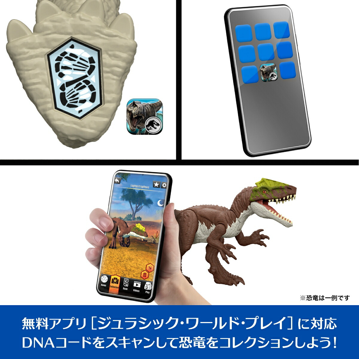 ޥƥ른饷å(JURASSICWORLD)ե奢ۤ롪ԥڥҶե奢εĹ:28.7cm4Ф饰꡼JGB89