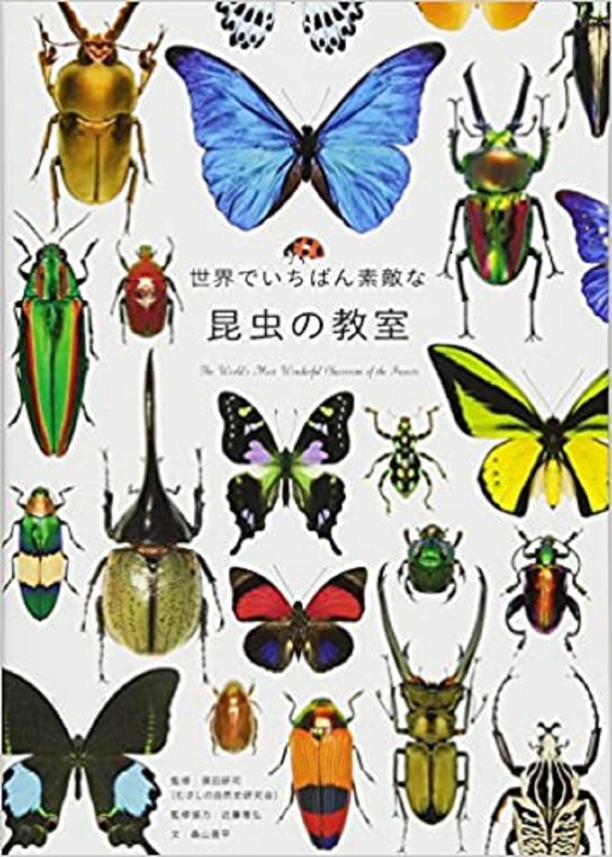 楽天ブックス: 世界でいちばん素敵な昆虫の教室 - 須田研司（むさしの