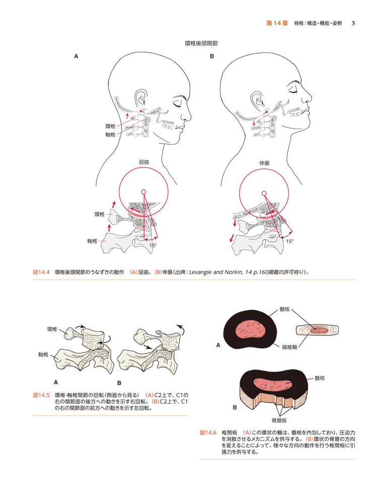 9784472404917 : 本 ブックス: 学生の学びを測る アセスメント・ガイド