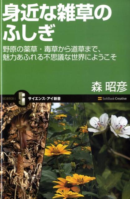 楽天ブックス: 身近な雑草のふしぎ - 野原の薬草・毒草から道草まで