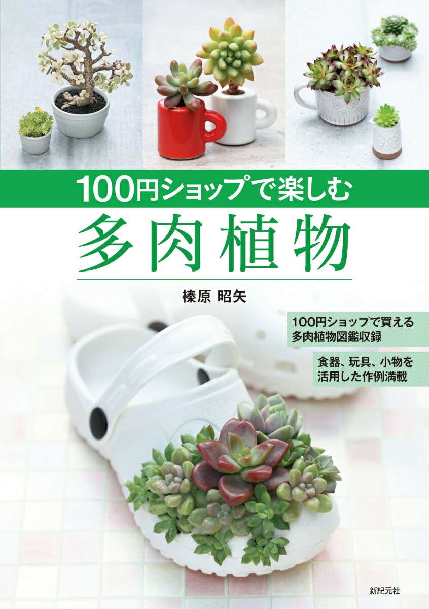 楽天ブックス 100円ショップで楽しむ多肉植物 榛原 昭矢 本