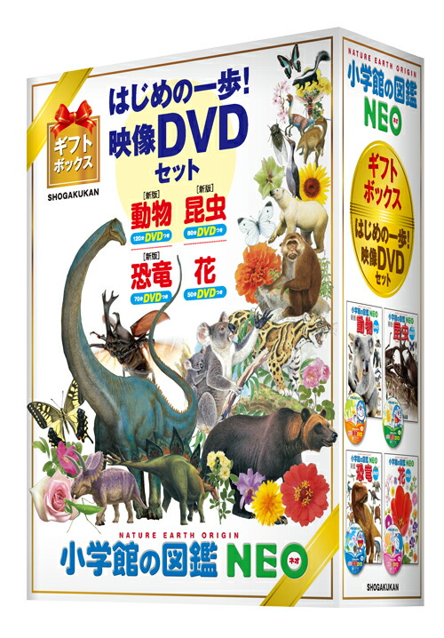 小学館の図鑑NEO⭐︎DVD 図鑑 DVDのみ 8枚セット - キッズ/ファミリー