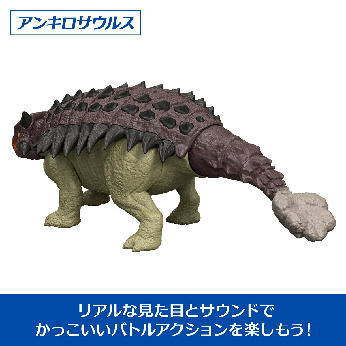 ޥƥ른饷å(JURASSICWORLD)ե奢ۤ롪󥭥륹Ҷե奢εĹ:25.5cm4Ф֥饦JGB90