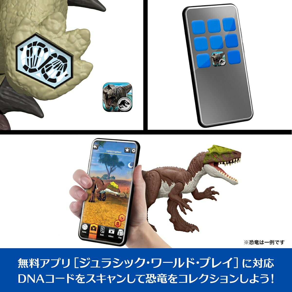 ޥƥ른饷å(JURASSICWORLD)ե奢ۤ롪󥭥륹Ҷե奢εĹ:25.5cm4Ф֥饦JGB90