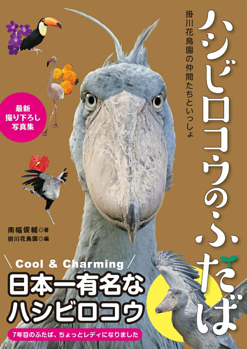 �ϥ��ӥ������Τդ���[��������]