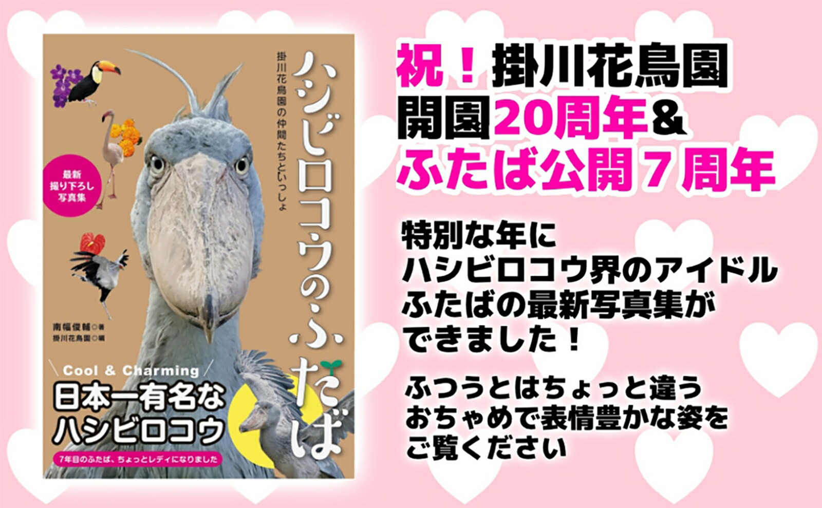 �ϥ��ӥ������Τդ���[��������]