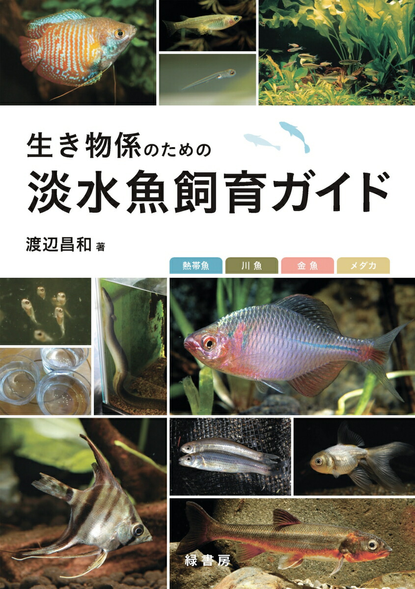 楽天市場】熱帯魚・水草大図鑑 ディスカバリー 生き物・再発見