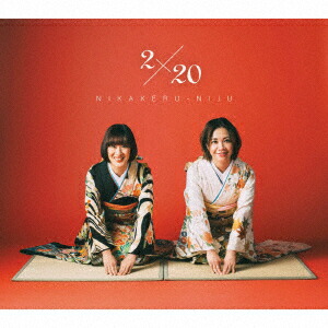 2x20[*]