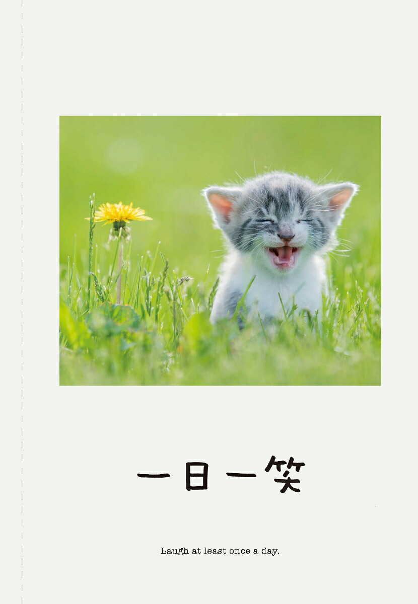 新♪人生はニャンとかなる！[水野敬也]