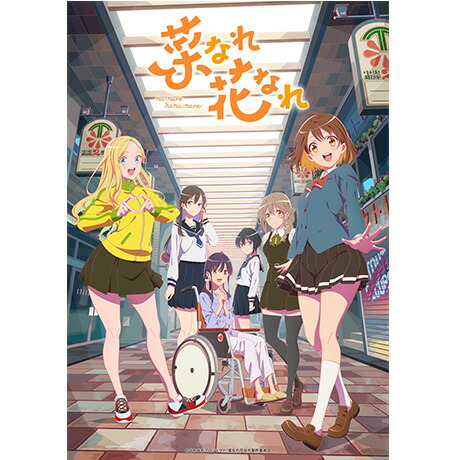 楽天ブックス: 菜なれ花なれ 第3巻【Blu-ray】 - 4570142659924 : DVD