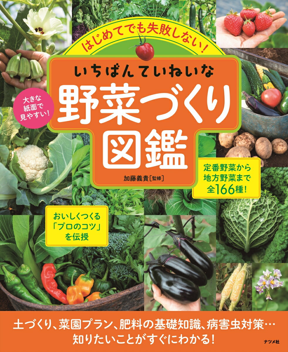 楽天ブックス はじめてでも失敗しない いちばんていねいな野菜づくり図鑑 加藤 義貴 本 楽天ブックス はじめてでも失敗しない いちばんていねいな野菜づくり図鑑 加藤 義貴 本