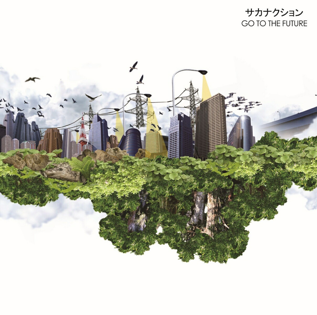 楽天ブックス: GO TO THE FUTURE [重量盤アナログ] [2LP]【アナログ盤