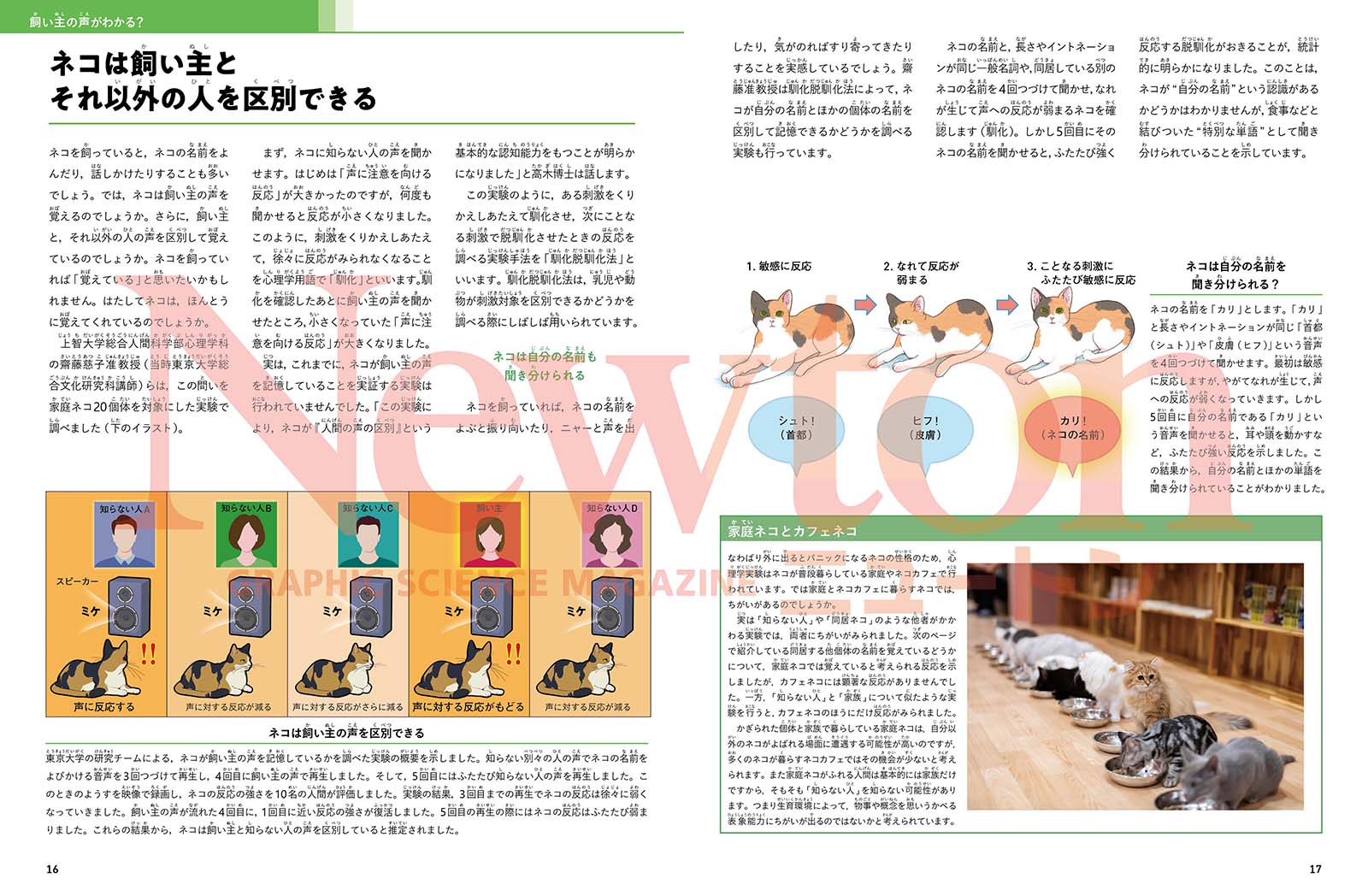 Newton別冊Nyaton増補版ネコの科学