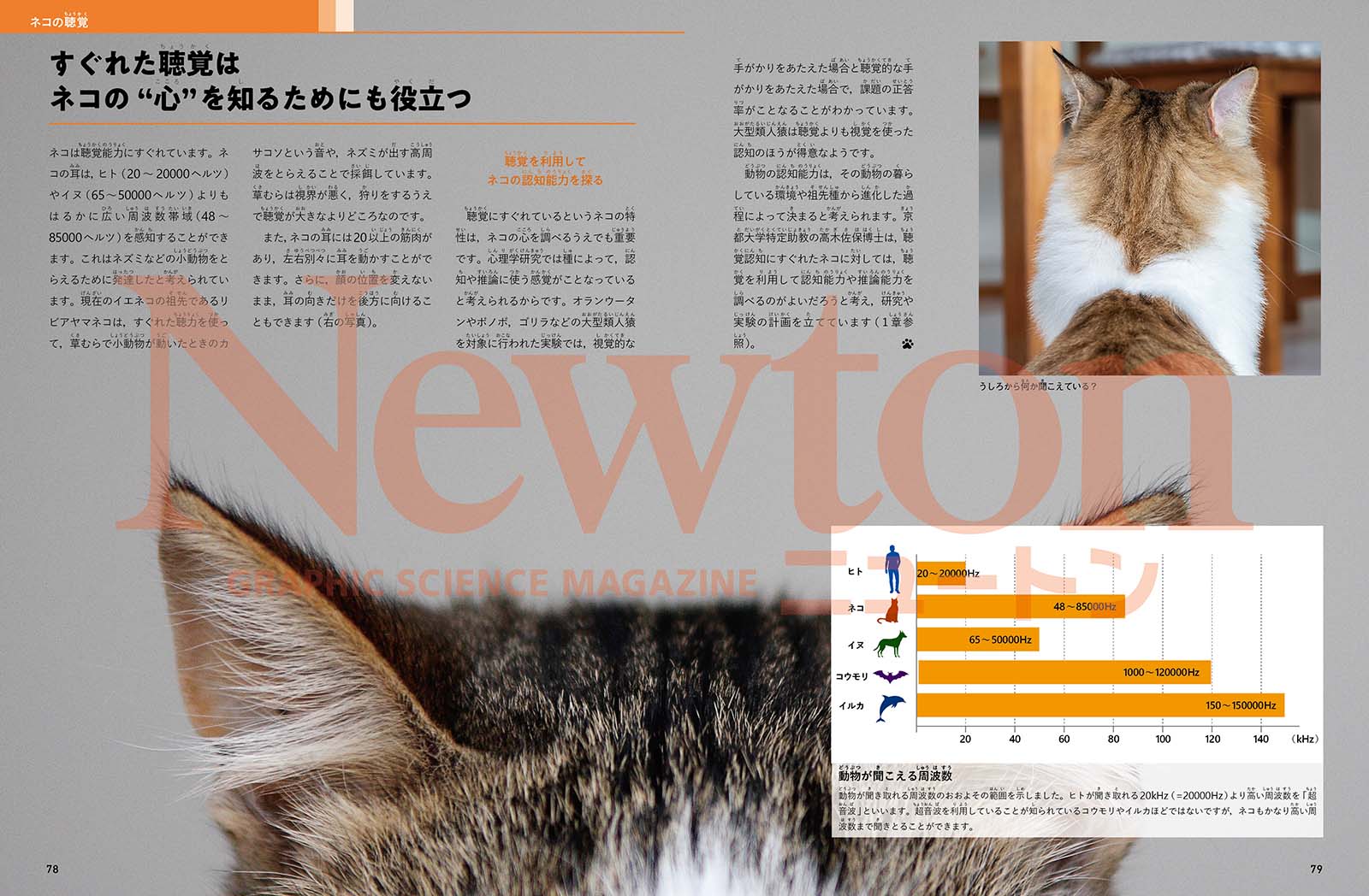 Newton別冊Nyaton増補版ネコの科学