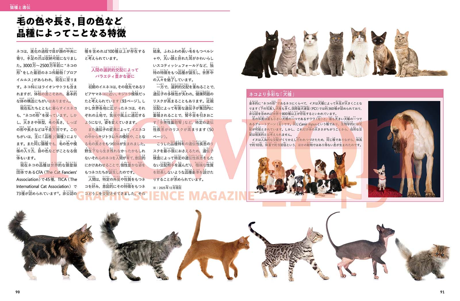 Newton別冊Nyaton増補版ネコの科学