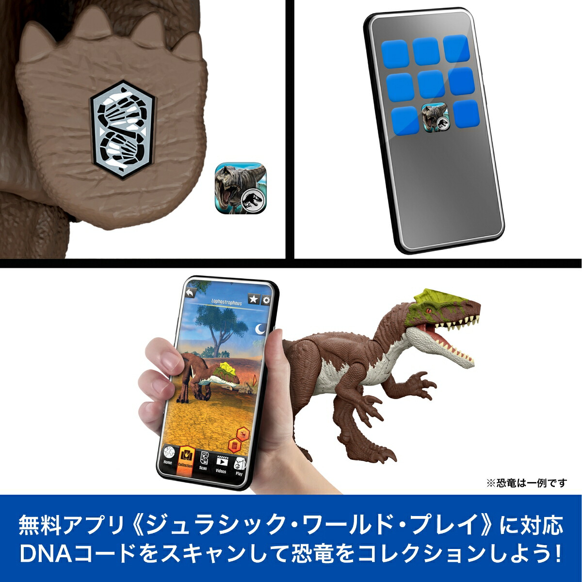ޥƥ른饷å(JURASSICWORLD)ӥå󡪥ȥꥱȥץҶե奢εĹ:35.6cm4Ф֥饦JGB93