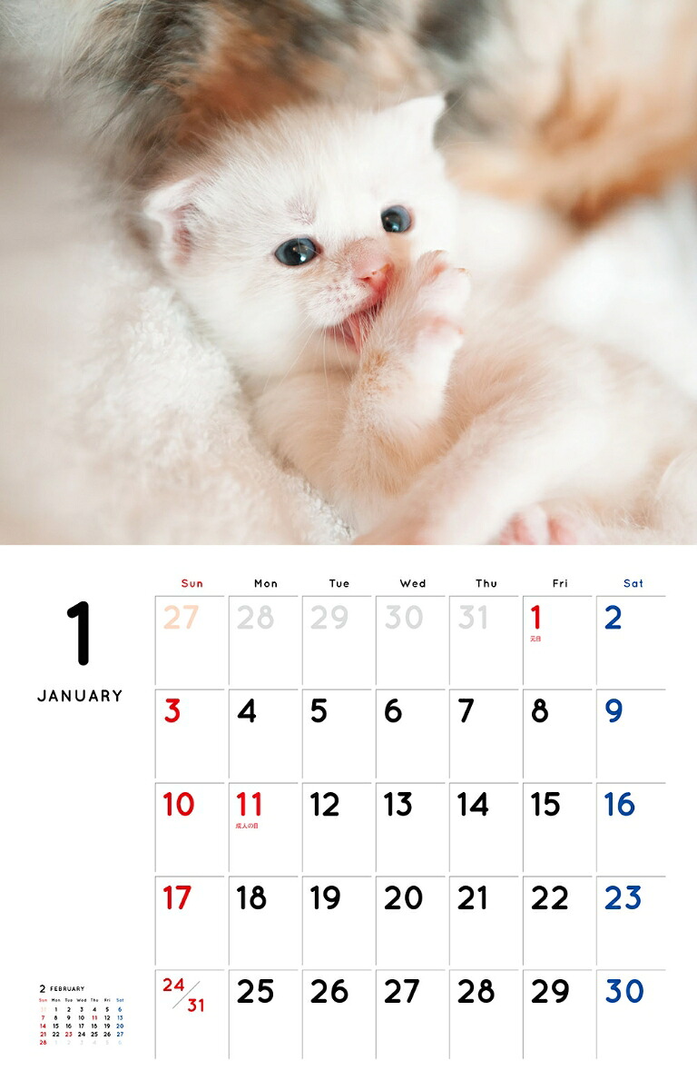 こねこカレンダー（2021）（［カレンダー］）
