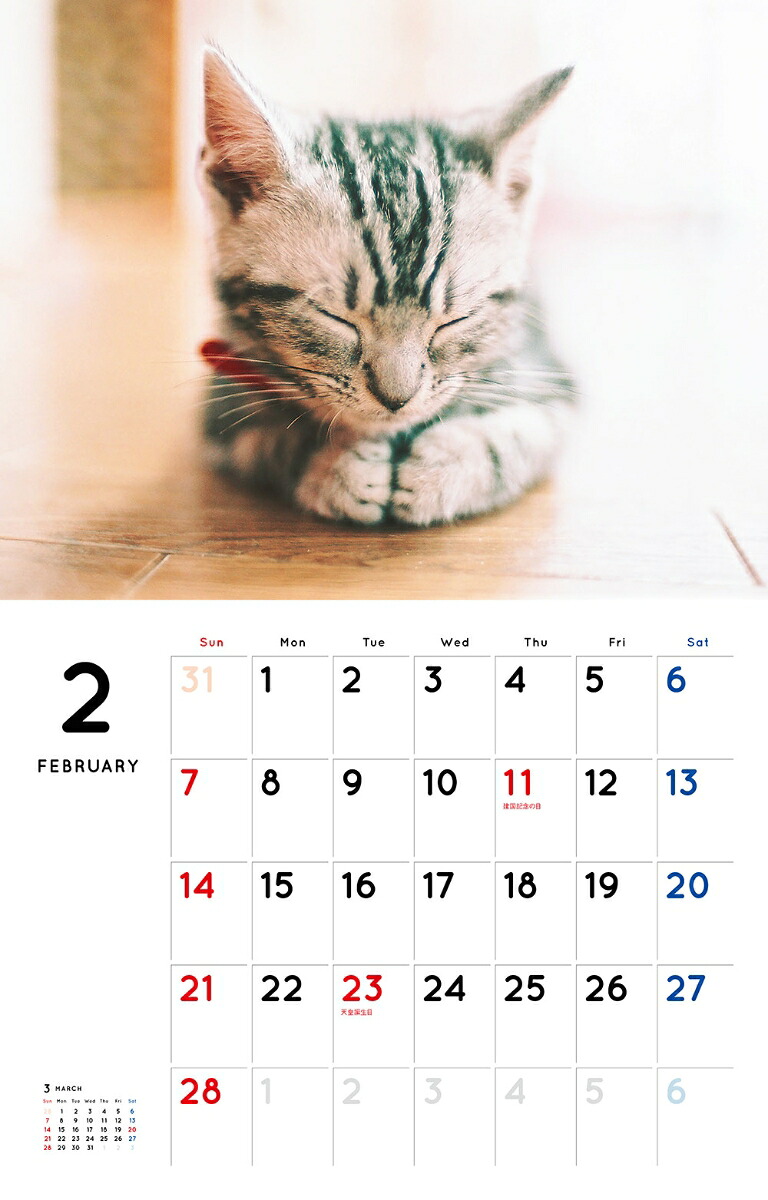 こねこカレンダー（2021）（［カレンダー］）