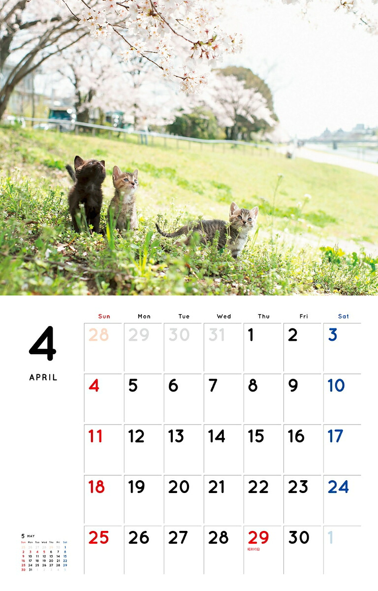 こねこカレンダー（2021）（［カレンダー］）