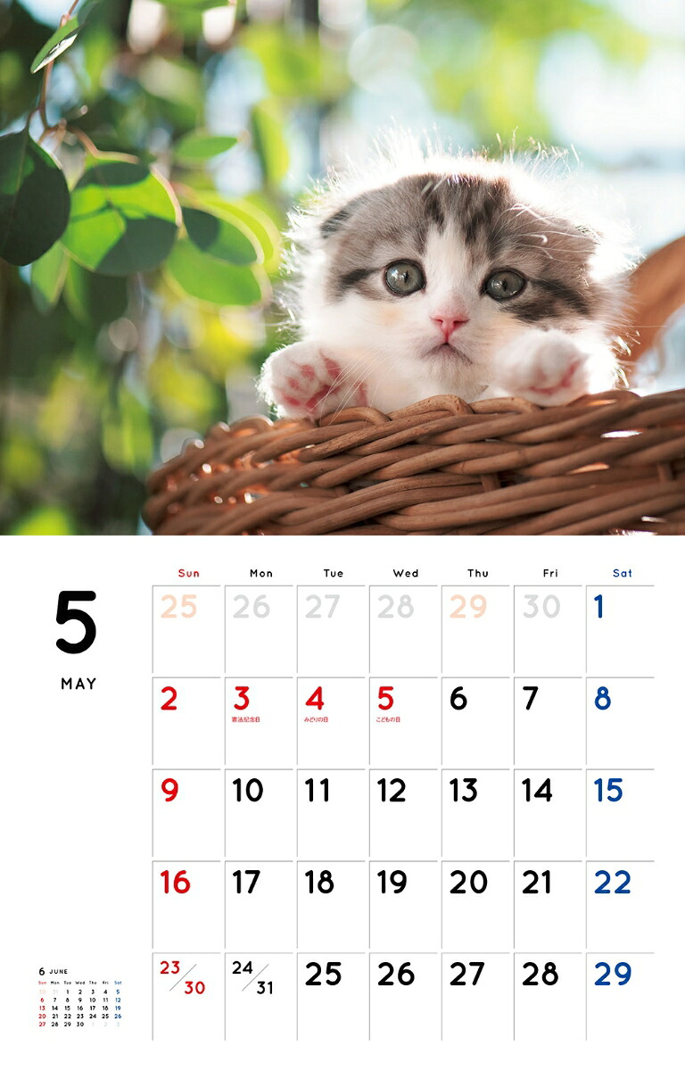 こねこカレンダー（2021）（［カレンダー］）