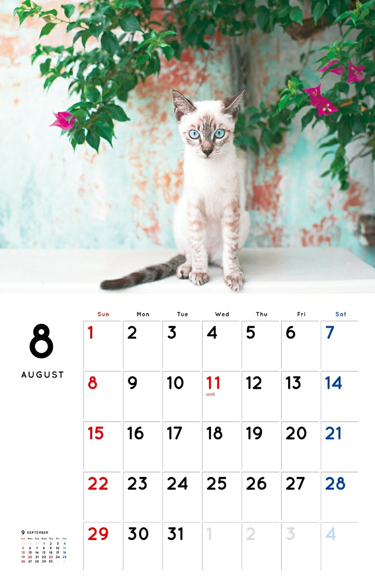 こねこカレンダー（2021）（［カレンダー］）