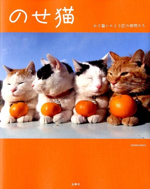 楽天ブックス: のせ猫 - かご猫シロと3匹の仲間たち - Shironeko