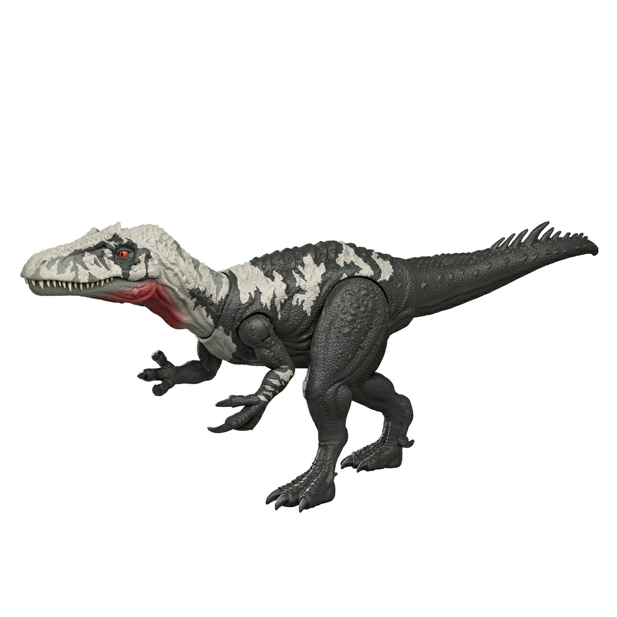 ޥƥ른饷å(JURASSICWORLD)ӥå󡪥󥿥륹Ҷե奢εĹ:34.3cm4Ф饰졼JGB95