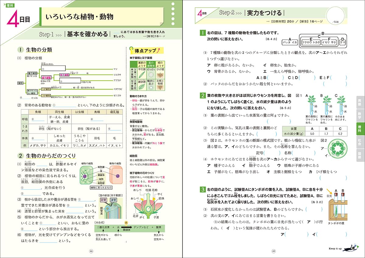 5�ʤ��줤�����С��ǡʹ⹻�������3ǯʬ�򤿤ä�7������������[Gakken]