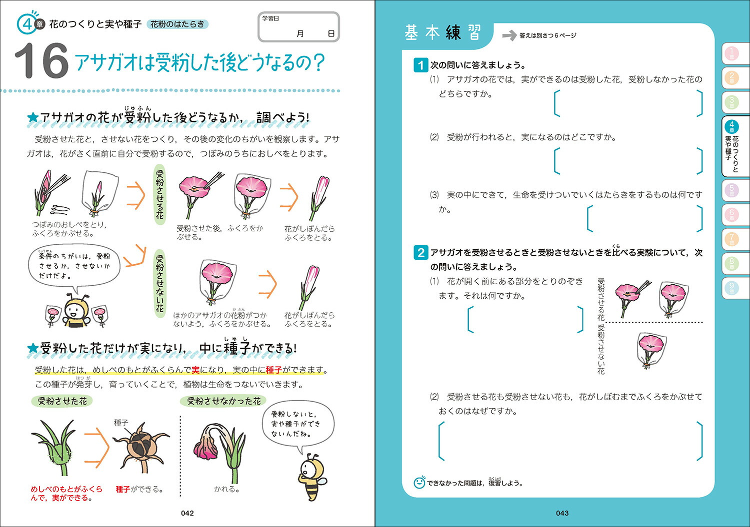 楽天ブックス 小5理科をひとつひとつわかりやすく 改訂版 学研プラス 本