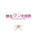 野生ランの世界　DVD－BOX〈2枚組〉
