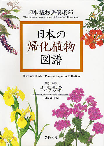 日本の帰化植物図譜 日本植物画倶楽部 1000円以上送料無料 Kanal9tv Com