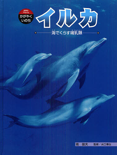 楽天市場】海棲哺乳類大全 彼らの体と生き方に迫る : ぐるぐる