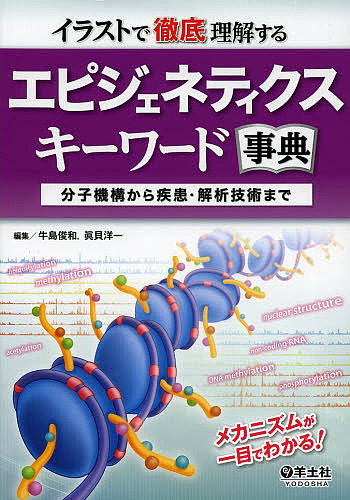 税込 イラストで徹底理解するエピジェネティクスキーワード事典 分子機構から疾患 解析技術まで 牛島俊和 眞貝洋一 1000円以上送料無料 Bk Www Hostaljobs Com