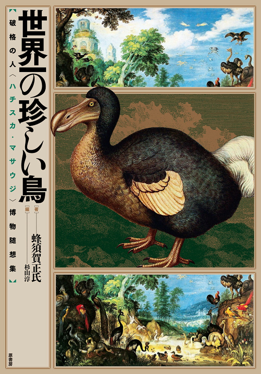 世界一の珍しい鳥 破格の人 ハチスカ マサウジ 博物随想集 蜂須賀正氏 杉山淳 1000円以上送料無料 Crunchusers Com