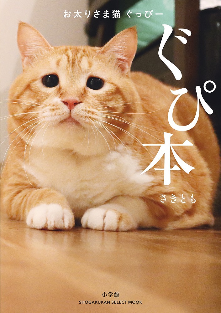 楽天市場 ぐぴ本 お太りさま猫ぐっぴー さきとも 1000円以上送料無料 Bookfan 2号店 楽天市場店