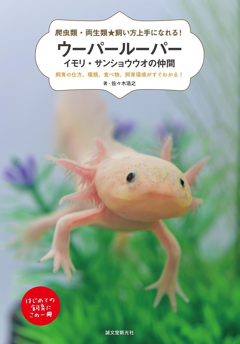 楽天市場】ウーパールーパー (1匹) 【3-4cm前後】 リューシ アルビノ