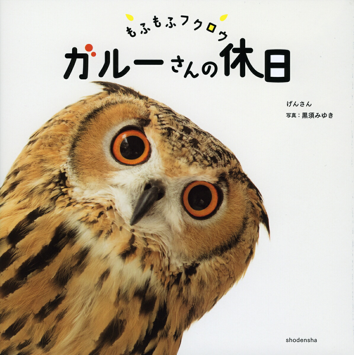 楽天市場 もふもふフクロウ ガルーさんの休日 げんさん 黒須みゆき 1000円以上送料無料 Bookfan 2号店 楽天市場店