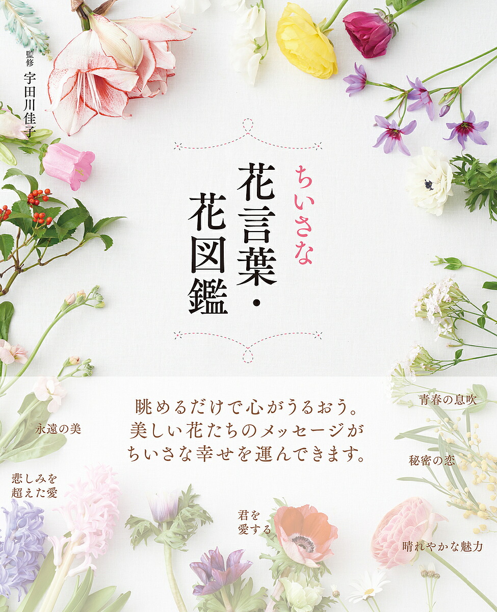雑草大鑑 浅井元朗著 植調雑草大鑑/浅井元朗 : bookfanプレミアム - 通販 - Yahoo