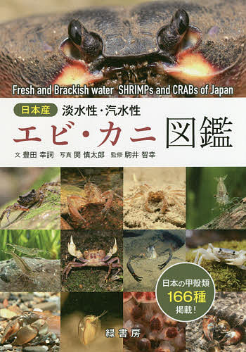 楽天市場 日本産淡水性 汽水性エビ カニ図鑑 豊田幸詞 関慎太郎 駒井智幸 1000円以上送料無料 Bookfan 2号店 楽天市場店