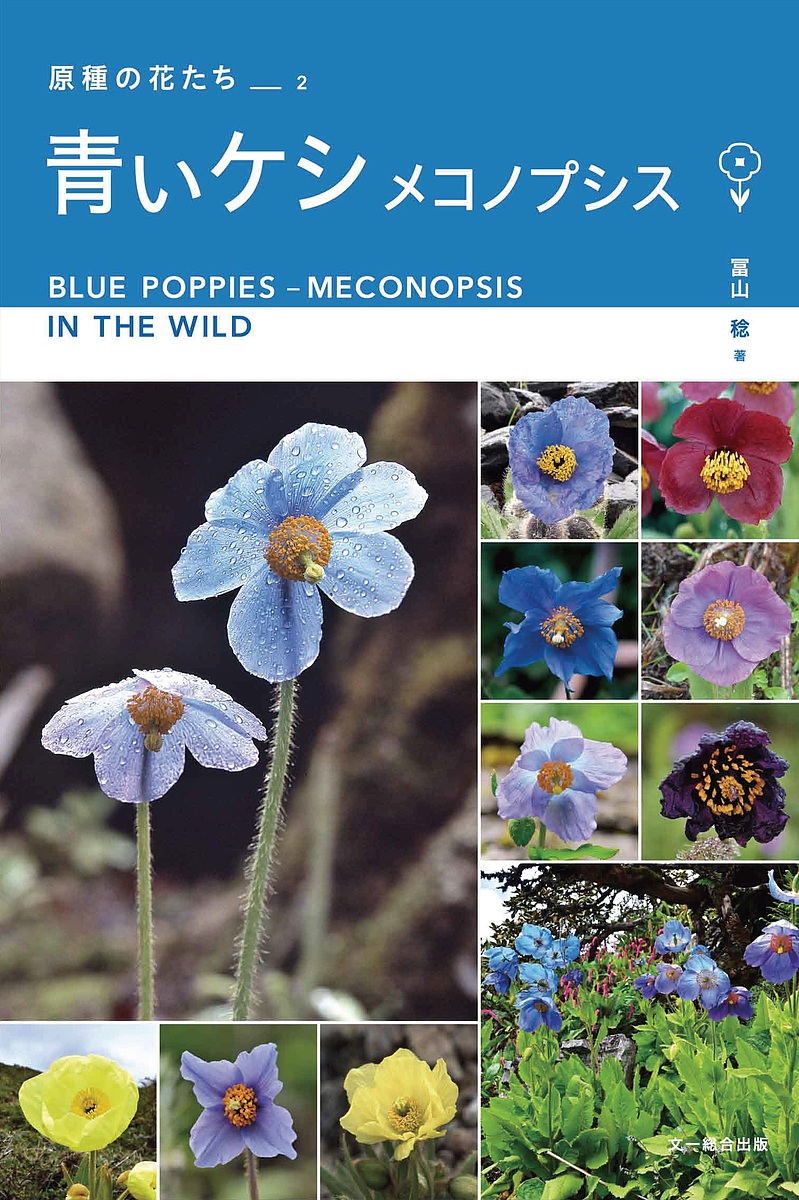 楽天市場】植調雑草大鑑／浅井元朗【1000円以上送料無料