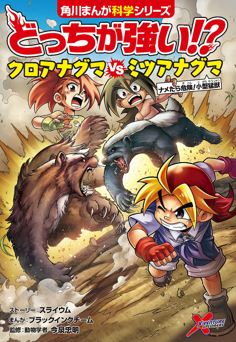 楽天市場】【送料無料】どっちが強い!?クロヒョウVS(たい)マンドリル