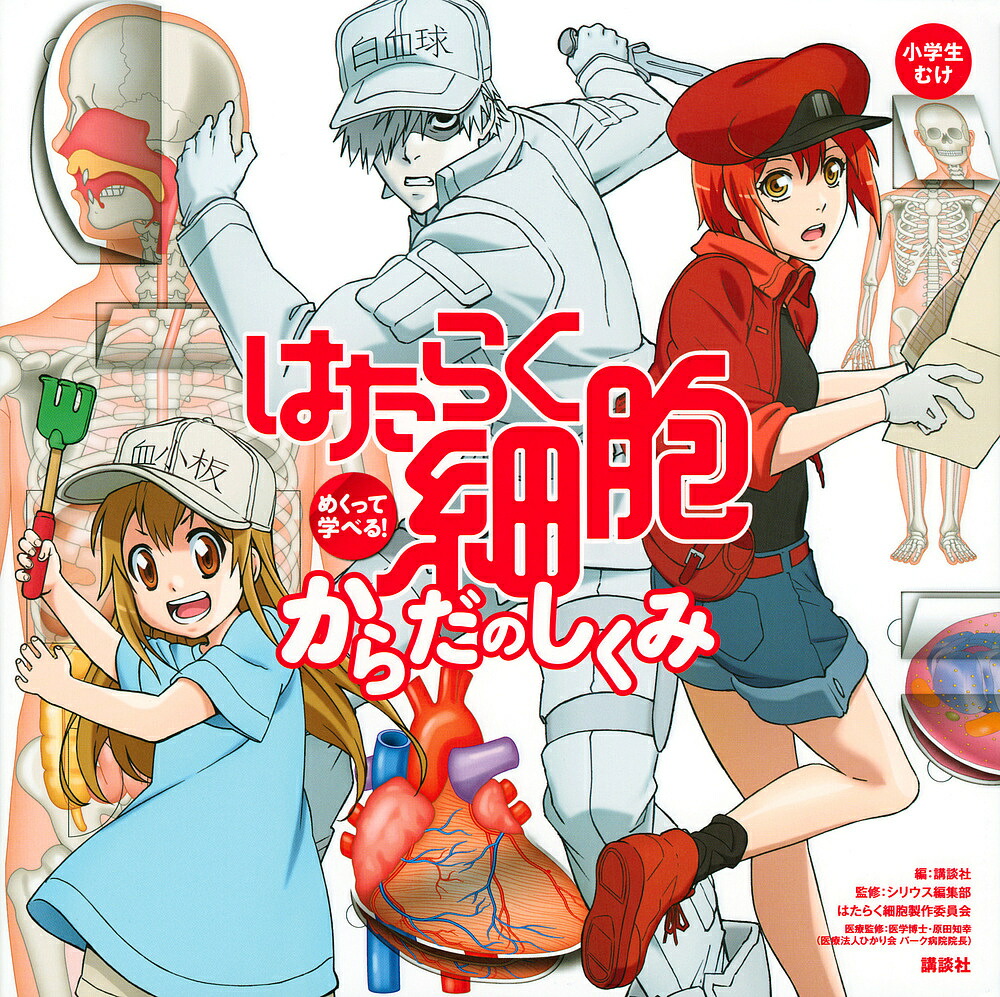 はたらく細胞めくって学べる!からだのしくみ／講談社／シリウス編集部／はたらく細胞製作委員会【1000円以上送料無料】画像