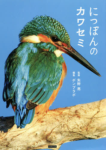 楽天市場】カワセミ オブジェ 手作り 木彫り バード 癒し 小鳥 置き物