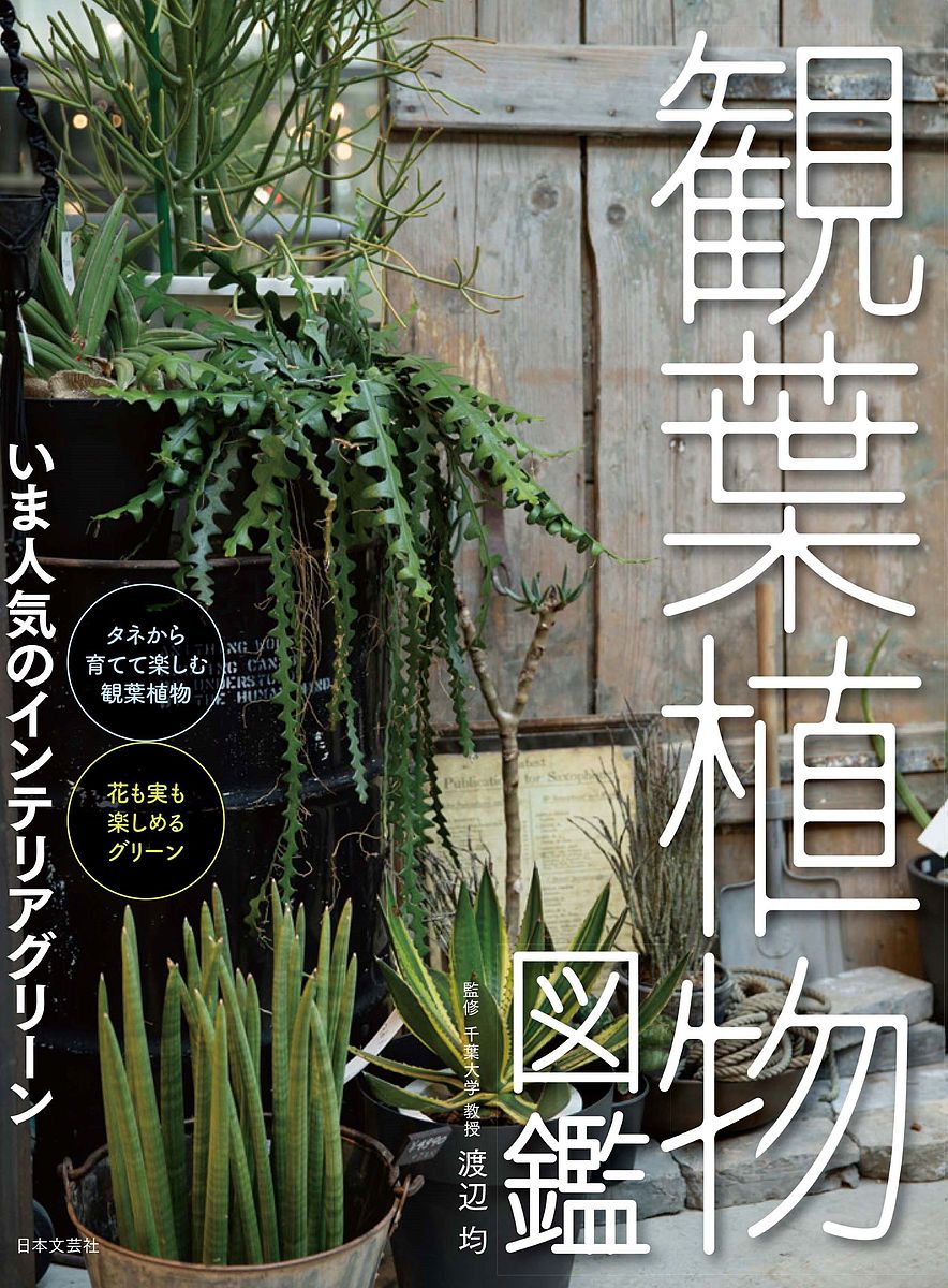 楽天市場】はじめての観葉植物の手入れと育て方 基礎の基礎からよく