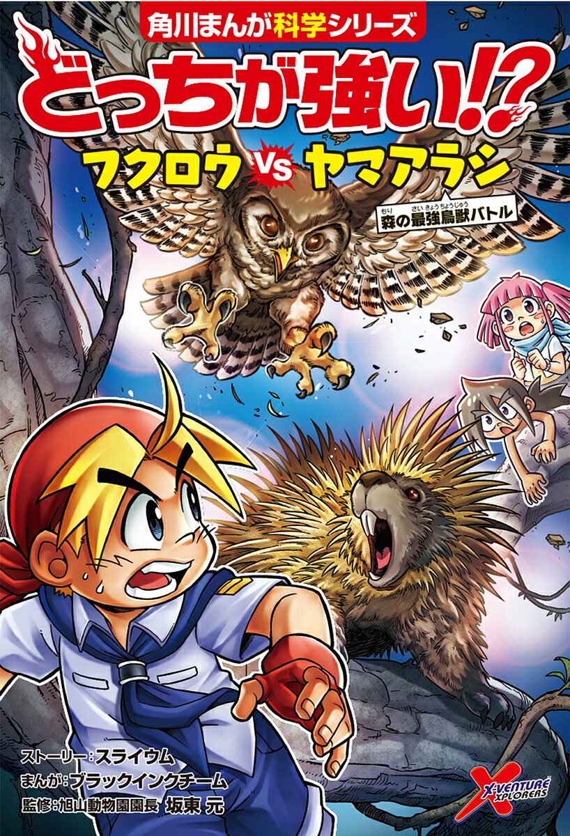 楽天市場】【送料無料】どっちが強い!?クロヒョウVS(たい)マンドリル