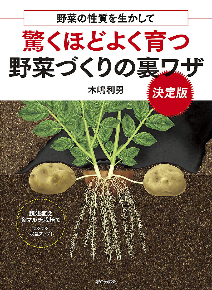 最大42%OFFクーポン生ごみ先生が教える「元気野菜づくり」超入門／吉田俊道 ガーデニング・フラワー