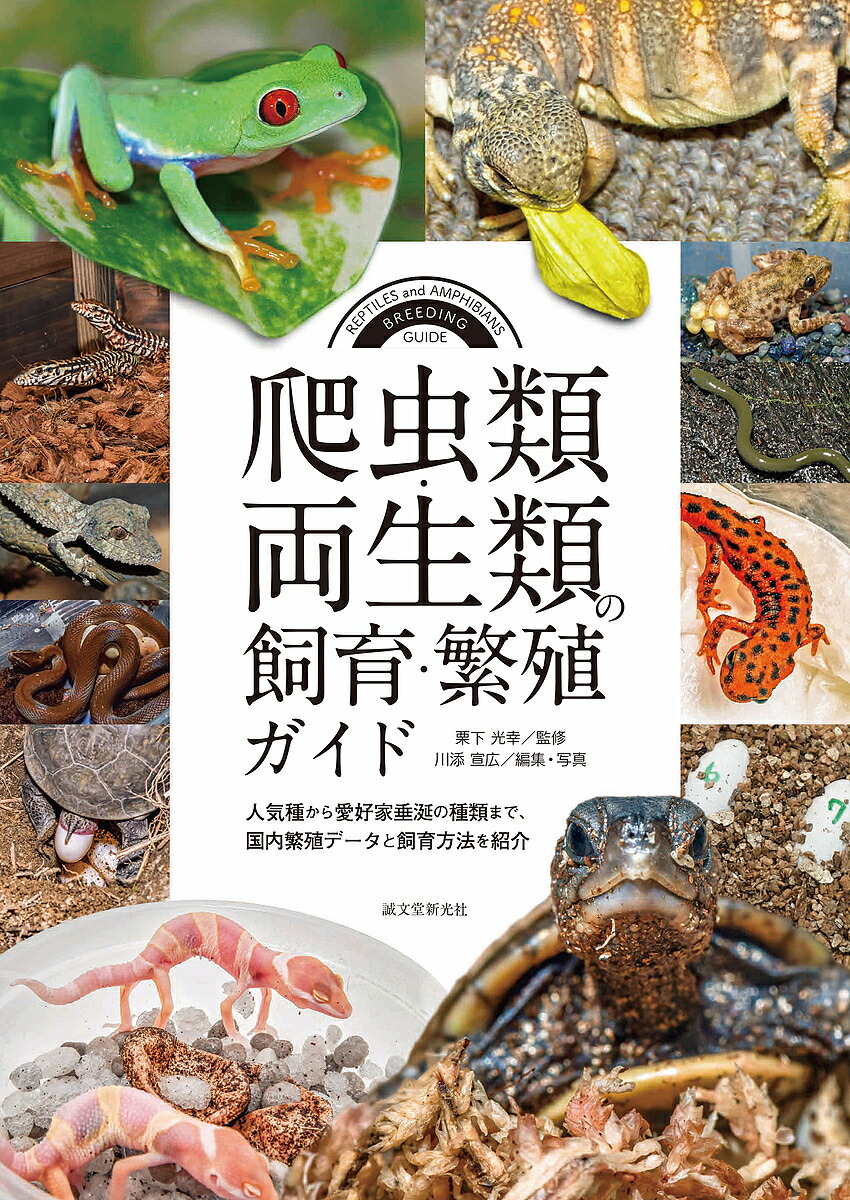 楽天市場】第3号 両生類・爬虫類専門雑誌『Caudata（カウダータ