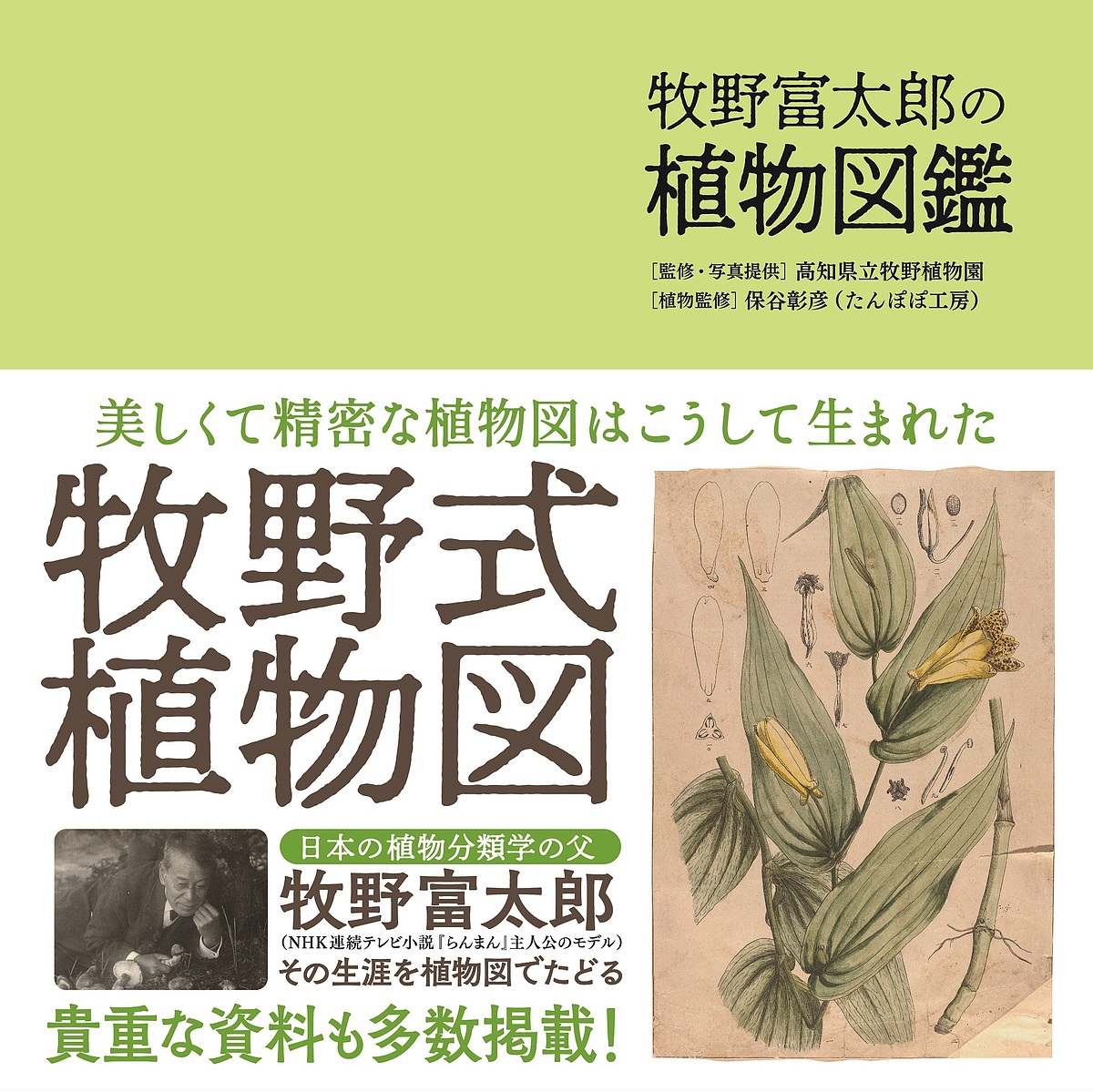 楽天市場】植調雑草大鑑／浅井元朗【1000円以上送料無料